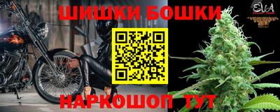 стаф Новодвинск