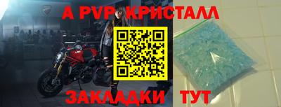 стаф Новодвинск