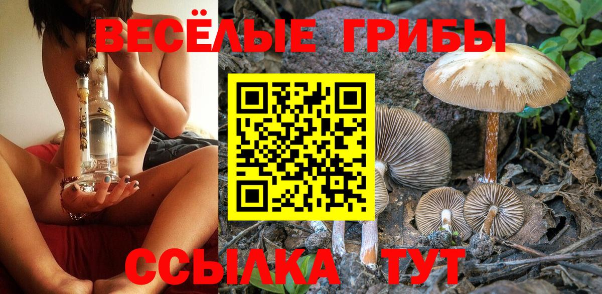 Псилоцибиновые грибы мицелий Дюртюли